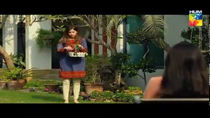 Kuch Na Kaho Episode 30 Full HD HUM TV Drama 13 February 2017