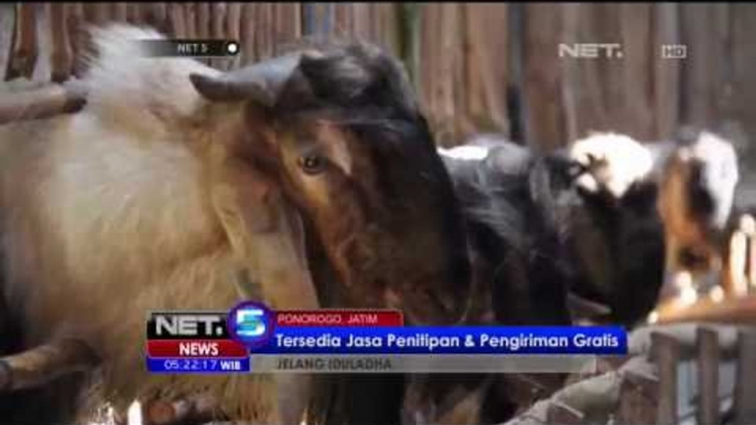 Perawatan Khusus Hewan Kurban di Ponorogo - NEt5