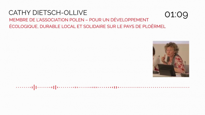 Forum néolab² Lorient 6 juin 2016 - Cathy DIETSCH-OLLIVE - Pollen