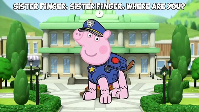 Peppa Pig in Paw Patrol halloween costumes finger family drawing #PeppaPig #PawPatrol