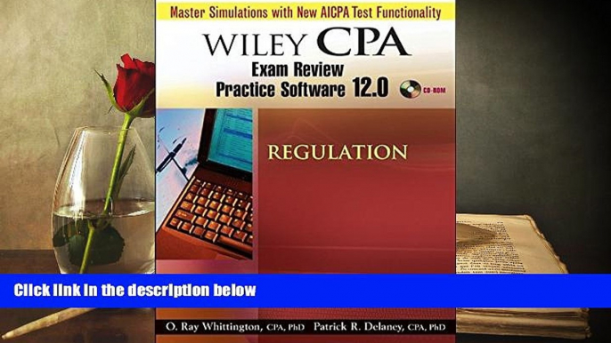 Best Ebook  Wiley CPA Examination Review Practice Software 12.0 Regulation  For Online