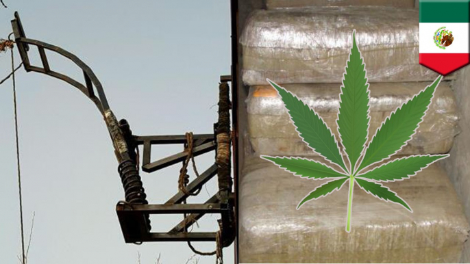 Weed smuggling: Agents find catapult used to hurl marijuana bales over U..S.-Mexico border