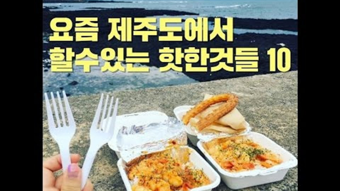 요즘 제주도에서 할수있는 핫한것들 10