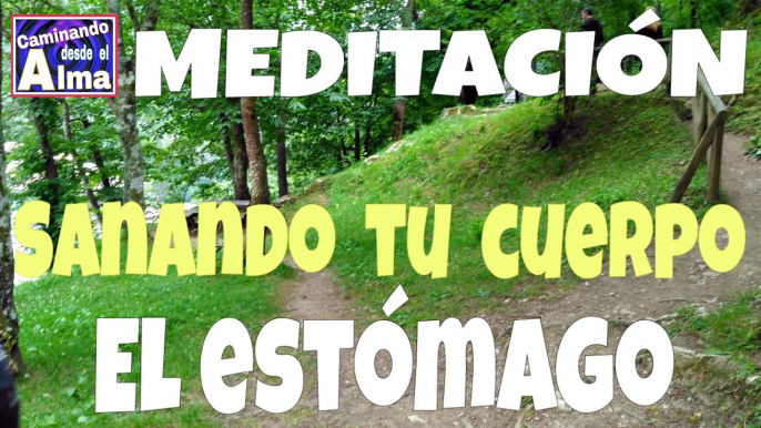 MEDITACIÓN. El estómago.