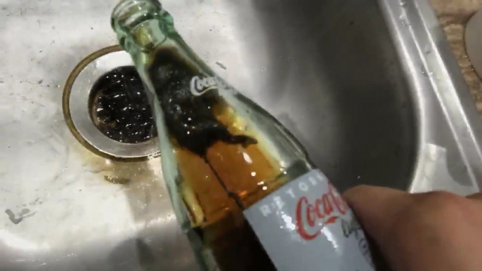 Rat in a bottle of coke