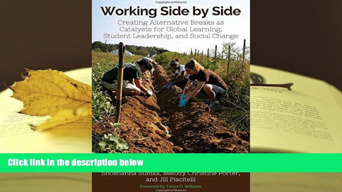 PDF Working Side by Side: Creating Alternative Breaks as Catalysts for Global Learning, Student