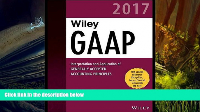 Popular Book  Wiley GAAP 2017 - Interpretation and Application of Generally Accepted Accounting