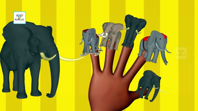 Finger Family Song Elephant | Animal Songs I Finger Family Nursery Rhymes Songs For Childr