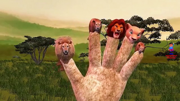 Lion King Cartoon Finger Family Rhyme for Children | Lion Finger Family Nursery Rhymes