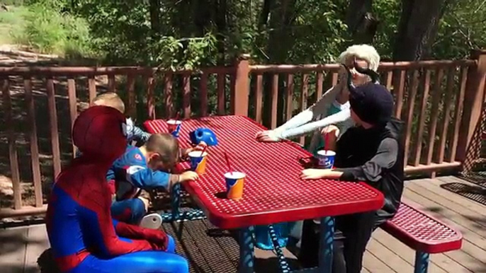 Frozen Elsa vs Poison Ivy at McDonalds! w/ Spiderman, Pink Spidergirl, Joker, Catwoman, An