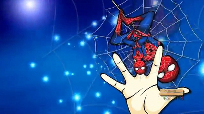 Finger Family Rhymes Spiderman Batman Hulk Superman Cartoons | Children Nursery Rhymes Col