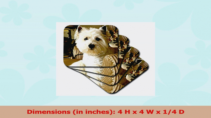 Dogs West Highland Terrier  Westie  set of 8 Ceramic Tile Coasters cst6094 a1245894