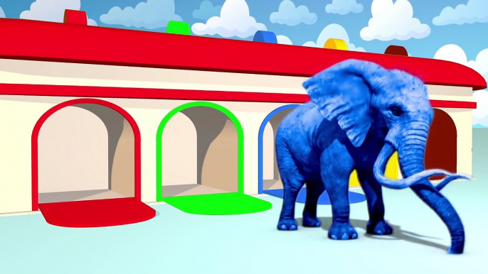 Learn Colors, Numbers and ABCs. ABC Songs for Kids. Alphabet Song. Nursery Rhymes from Dav