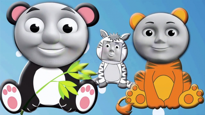 THOMAS And Friends Finger Family BEAR, PANDA, TIGER ANIMALS Daddy Finger Song Nursery Rhymes Cookie