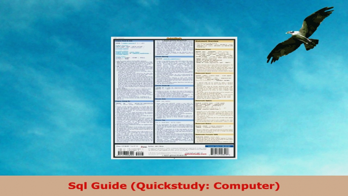 READ ONLINE  Sql Guide Quickstudy Computer