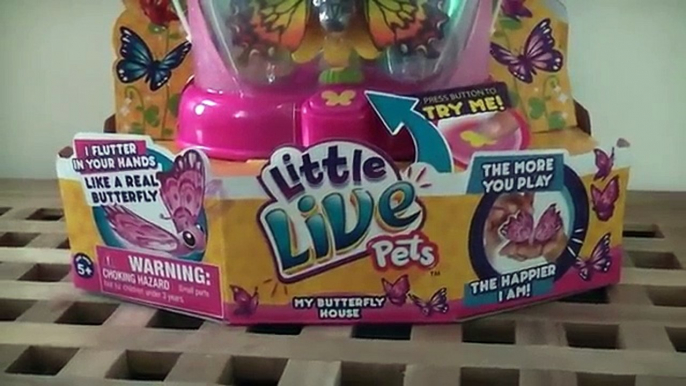 Little Live Pets Butterflies House - Loving Wings Toy Unboxing Review Moose Bird Owl TheTo
