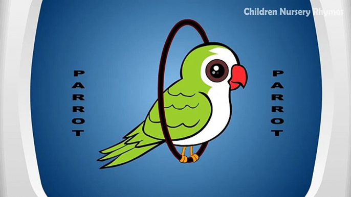 10 Birds Names for Children in English - Birds name with picture for children 2016 - Part