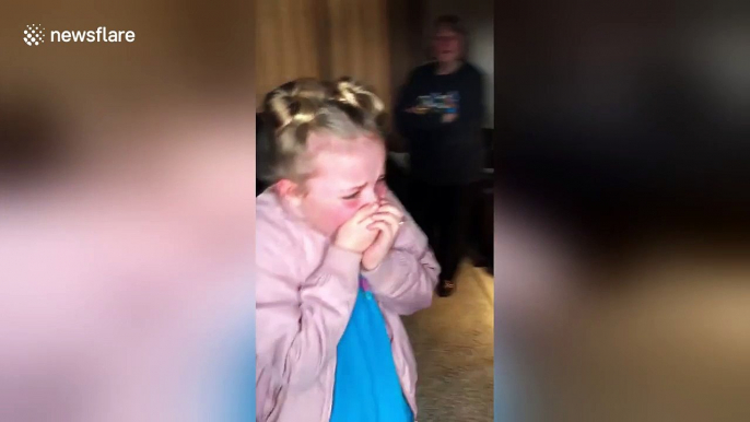 Puppy surprise brings girl to tears