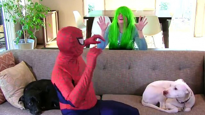 Spiderman vs Harley Quinn! Spiderman is Arrested! Ft Frozen Elsa & Pink Spidergirl Fun in