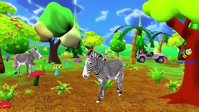 Animals Sounds For Children - Learn Sounds Of Zoo Animals For Children Kids And Babies