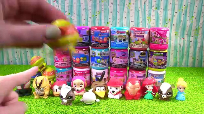 Huge 21 Mashems and Fashems! Paw Patrol, Teenage Mutant Ninja Turtles, Disney Princesses