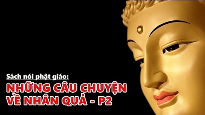 Kể truyện đêm khuya: Những Câu Chuyện Nhân Quả Phần 2 (Rất Hay) - Sách Nói Phật Giáo