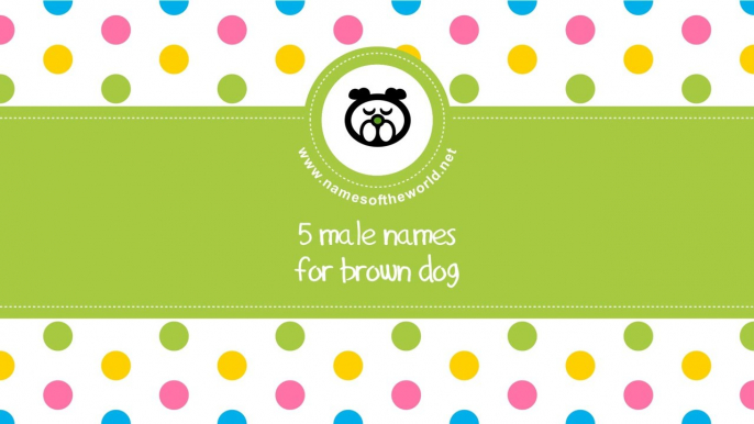 Male names for brown dog - the best names for your pet - www.namesoftheworld.net