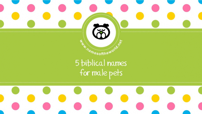 Biblical names for male pets - the best names for your pet - www.namesoftheworld.net