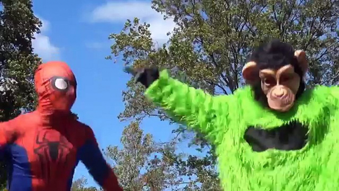 Dinosaur Superheroes finger family rhymes. Collection of Nursery Rhymes Superheroes: Spiderman