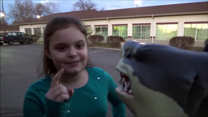 Feeding My Pet Shark McDonald's Chicken Nuggets Happy Meal Big Mac & Fries 'Toy Freaks'-kf