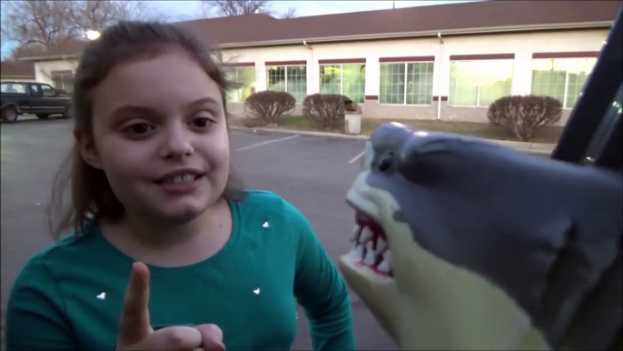 Feeding My Pet Shark McDonald's Chicken Nuggets Happy Meal Big Mac & Fries 'Toy Freaks'-kfB