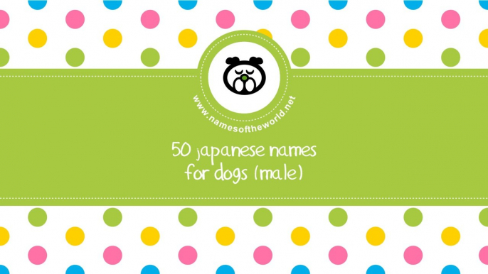 50 japanese names for male dogs -  best dog names - www.namesoftheworld.net