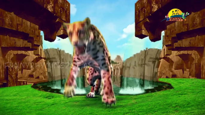 Wild animals 3d animation Rhymes Finger family - Colors dinosaurs Finger family rhymes for