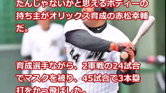 プロ野球選手 体重１００キロ以上の順位が 衝撃的、、、あの選手も  【プロ野球　裏話】速報と裏話 プロ野球&MLB