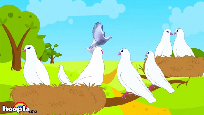 The Jackdaw And The Pigeons | Animated Fairy Tales & Bedtime Stories For Kids In English