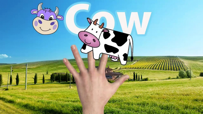 Finger Family Nursery Rhymes for Children Cow Cartoons | Finger Family Children Nursery Rh