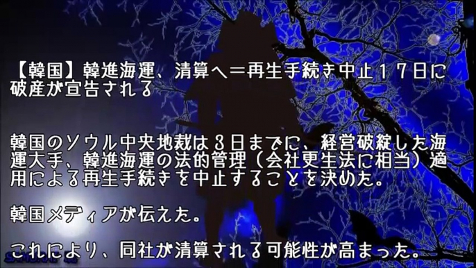 【韓国経済崩壊】韓進海運の負債総額なんと3兆円！！！ｗｗｗ　とんでもない規模に膨らんでいたｗｗｗ　【3月韓国破綻】ついにｸﾙ━━━━━(°∀°)━━━━━！！！