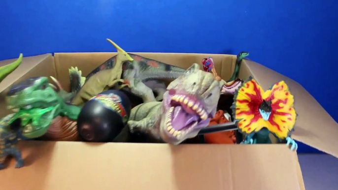 DINOSAURS What's in the Box Toy Dinosaur GIVEAWAY CONTEST Win Dinosaurs   Surprise Eggs Video-U8yjhOML