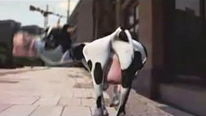 Dancing cow funny cartoon