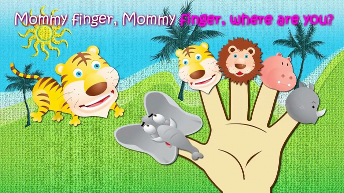 Wild animals Finger Family Nursery Rhymes Songs Lyrics- English poems-children phonic songs-ABC songs for kids-Car songs-Nursery Rhymes for children-Songs for Children with Lyrics-best Hindi Urdu kids poems-Best kids English Hindi Urdu cartoons