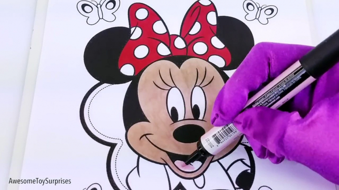 Speed Coloring Toys w/ Minnie Mouse, MLP, Frozen Anna and Elsa, Sofia, Disney Princess