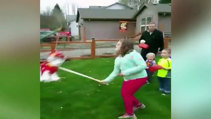 Ce bébé est mort de rire quand sa soeur essaie de casser la pinata