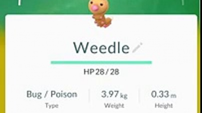 Pokemon gehen : Evolution Weedle in Kakuna in Beedrill Android gameplay Movie