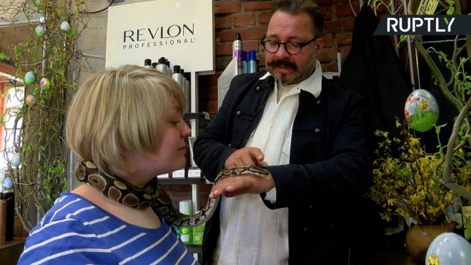 German Hair Salon Offers Rare Treatment for Customers - Snake Therapy!