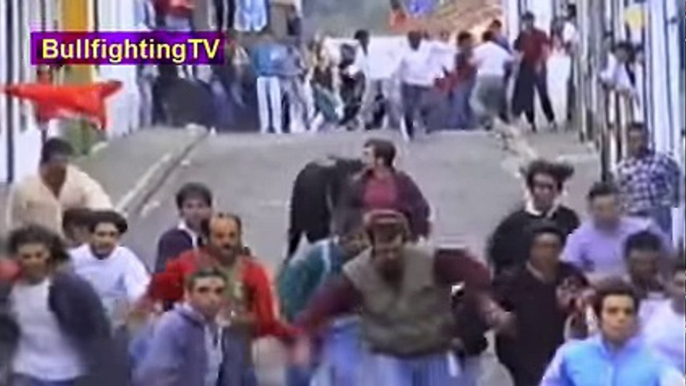 Bullfighting Festival - Best Funny Videos