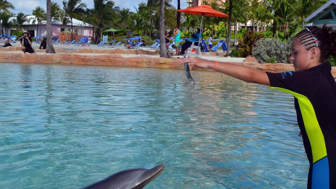 KIDS PLAY w. SEA LIONS + POWER TOWER WATER SLIDES!! (FUNnel Vision LEAVES Bahamas (◕︵◕) Tr