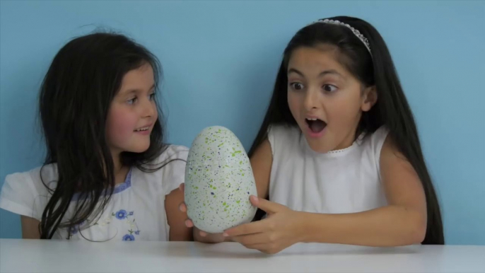 Hatchimals Hatching A New Baby! 2016 Christmas Wish List Toy Hatchimals Surprise Eggs-sm69