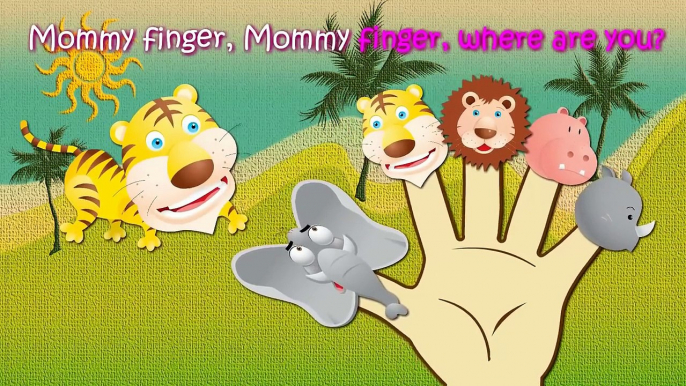 Wild Animals Finger Family Songs | Animals Finger Family Nursery Rhymes By Animals Rhymes