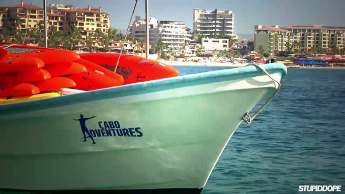 Exploring Marine Life in Mexico with Cabo Adventures! | Video & Review