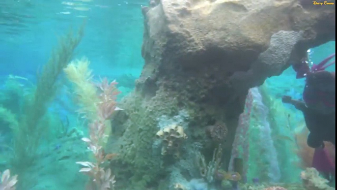 ºoº カリフォルニア ディズニーランド ニモのアトラクション ファインディングニモ  サブマリンヴォヤッジ  Finding Nemo Submarine Voyage at Disneyland